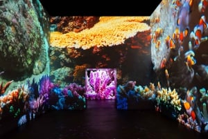 Amsterdam: Fabrique des Lumières Il biglietto d'ingresso al mare