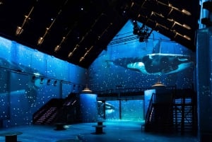 Amsterdam: Fabrique des Lumières Il biglietto d'ingresso al mare