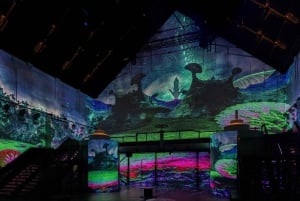 Amsterdam: Fabrique des Lumières Il biglietto d'ingresso al mare