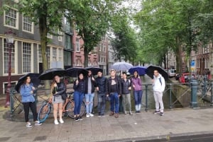 Amsterdam: 'Fall in Love with Amsterdam' German Walking Tour