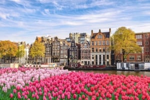 Amsterdam Family Friendly Historical Walking Tour