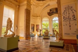 Amsterdam Family Friendly Historical Walking Tour