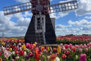 Amsterdam: Villages ,Cheese, Windmills, Clogs PRIVET TOUR