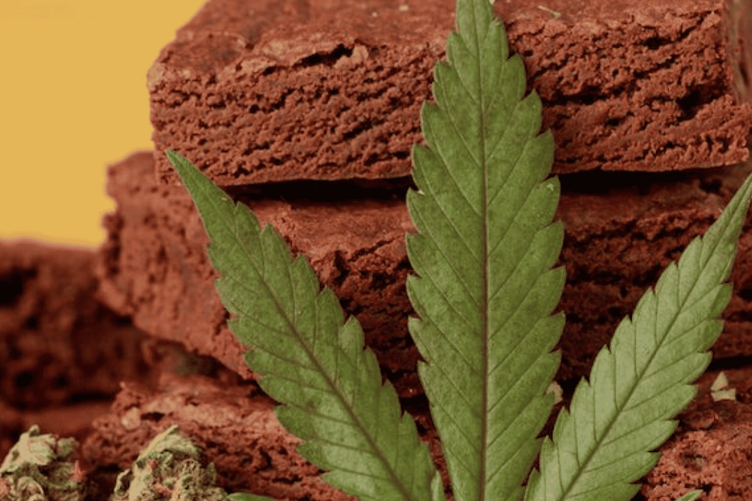 Amsterdam: ¡Primer Tour de Comestibles!