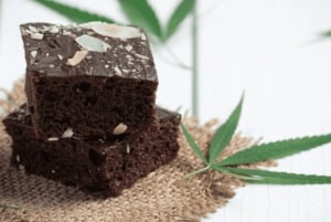 Amsterdam: First Edibles Tour!