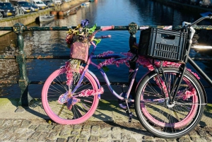 Amsterdam Madtur: Fuld måltid med øl