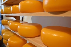 Amsterdam Madtur: Fuld måltid med øl