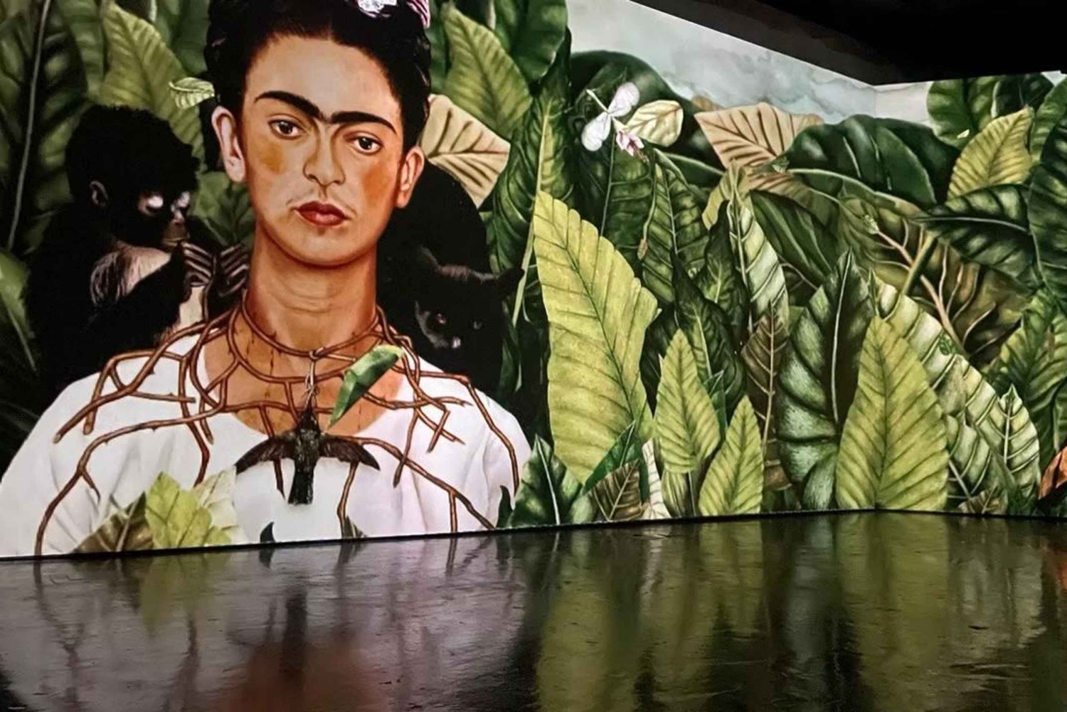 Amsterdam: Frida Kahlo Immersive & Fotoausstellung