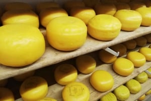 Amsterdam: całodniowa wycieczka po okolicy