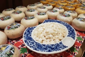 Amesterdão: passeio de um dia inteiro pelo campo