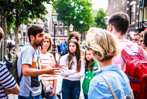 Ámsterdam día completo: Caminar, montar en bici y hacer un crucero con almuerzo