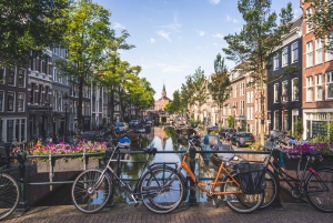 Ámsterdam día completo: Caminar, montar en bici y hacer un crucero con almuerzo