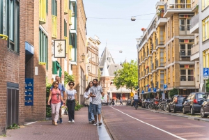 Ámsterdam día completo: Caminar, montar en bici y hacer un crucero con almuerzo