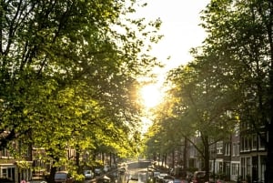 Amsterdam : visite à pied des joyaux de l'âge d'or