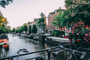 Amsterdam : visite à pied des joyaux de l'âge d'or