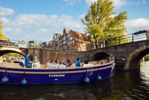 Amsterdam : Croisière sur les canaux avec guide allemand et bar à bord