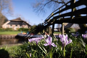 Amsterdam: Giethoorn and Zaanse Schans Windmills Day Tour