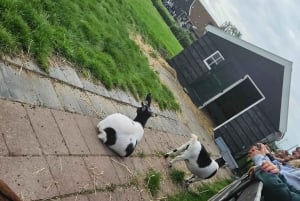 Amsterdam: Giethoorn, Zaandam & Zaanse Schans Tour w/ Pickup