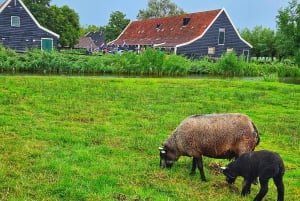 Amsterdam: Giethoorn, Zaandam & Zaanse Schans Tour w/ Pickup