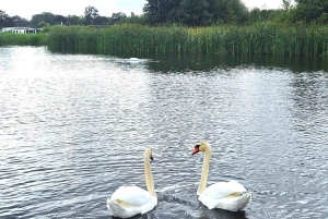 Amsterdam: Giethoorn, Zaandam & Zaanse Schans Tour w/ Pickup