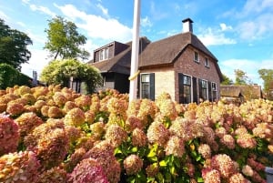 Amsterdam: Giethoorn, Zaandam & Zaanse Schans Tour w/ Pickup