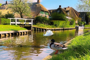 Amsterdam: Giethoorn & Zaanse Schans dagsudflugt i lille gruppe