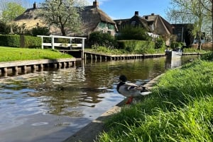 Amsterdam: Giethoorn, Zaanse Schans Tour With Local Guide