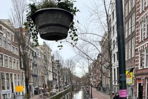 Amsterdam: wycieczka piesza z przewodnikiem w małej grupie śladami Anny Frank