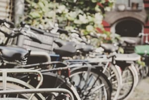 Amsterdam: Guided City Bike Tour in French