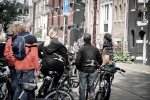 Amsterdam: Tour guiado de la ciudad en bicicleta en francés