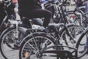 Amsterdam: Tour guiado de la ciudad en bicicleta en francés