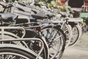 Amsterdam: Tour guiado de la ciudad en bicicleta en francés