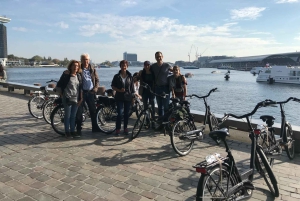 Amsterdam: Tour guiado de la ciudad en bicicleta en francés