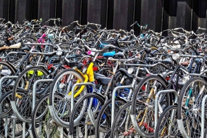 Amsterdam: Guided Sightseeing Tour by Bicycle
