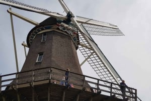 Amsterdam: Guided Tour of Amsterdam Windmill