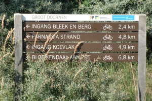 Amsterdam: Half-Day 30km Bike Tour of Bloemendaal Dunes