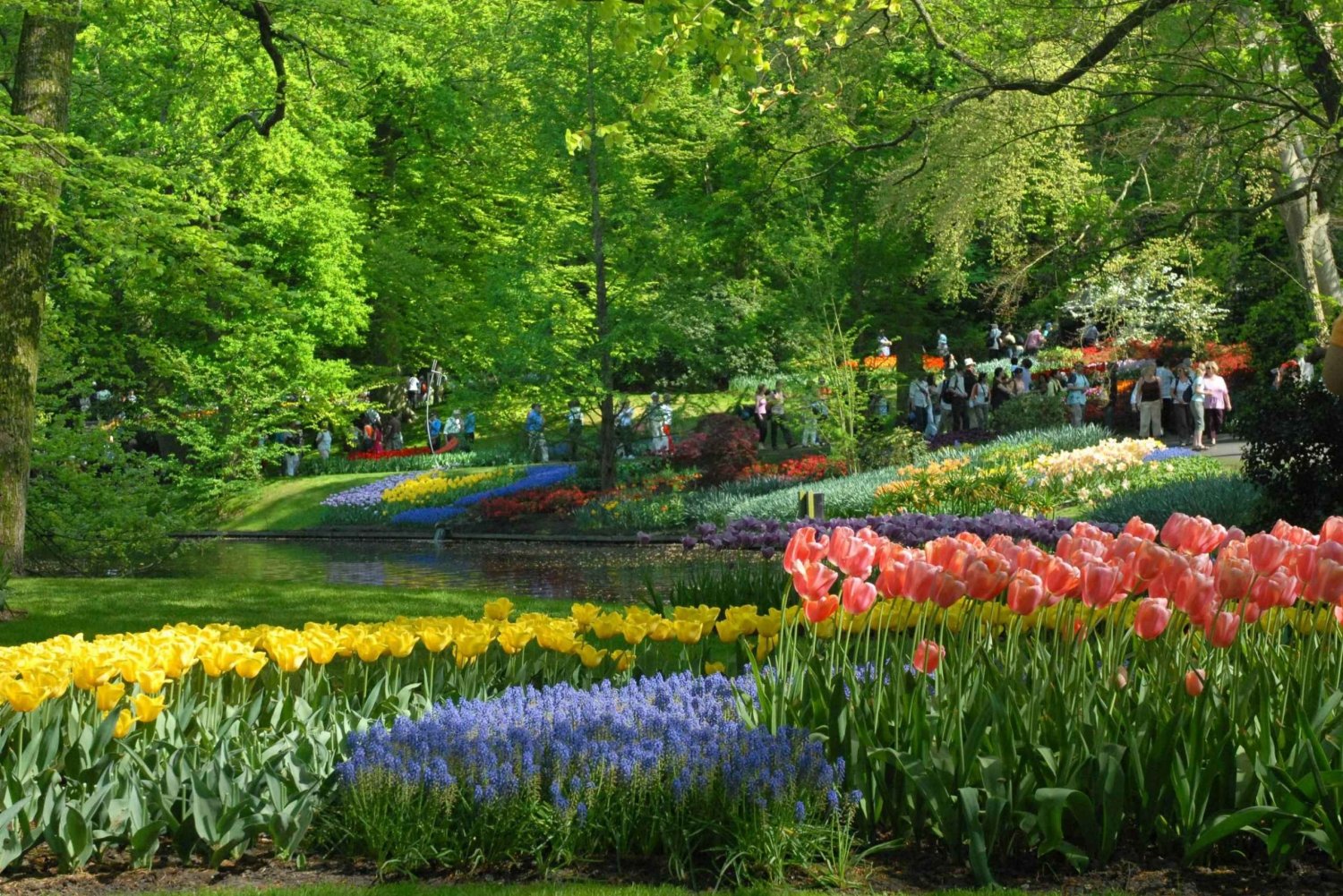 Amsterdam: Half-Day Keukenhof Guided Tour with Entrance