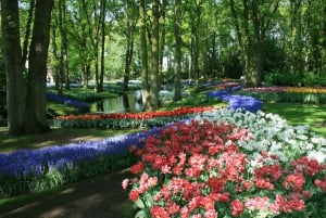 Amsterdam: Half-Day Keukenhof Guided Tour with Entrance