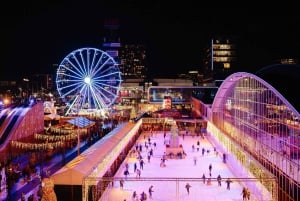Amsterdam: Het Amsterdamse Winterparadijs Entry Ticket