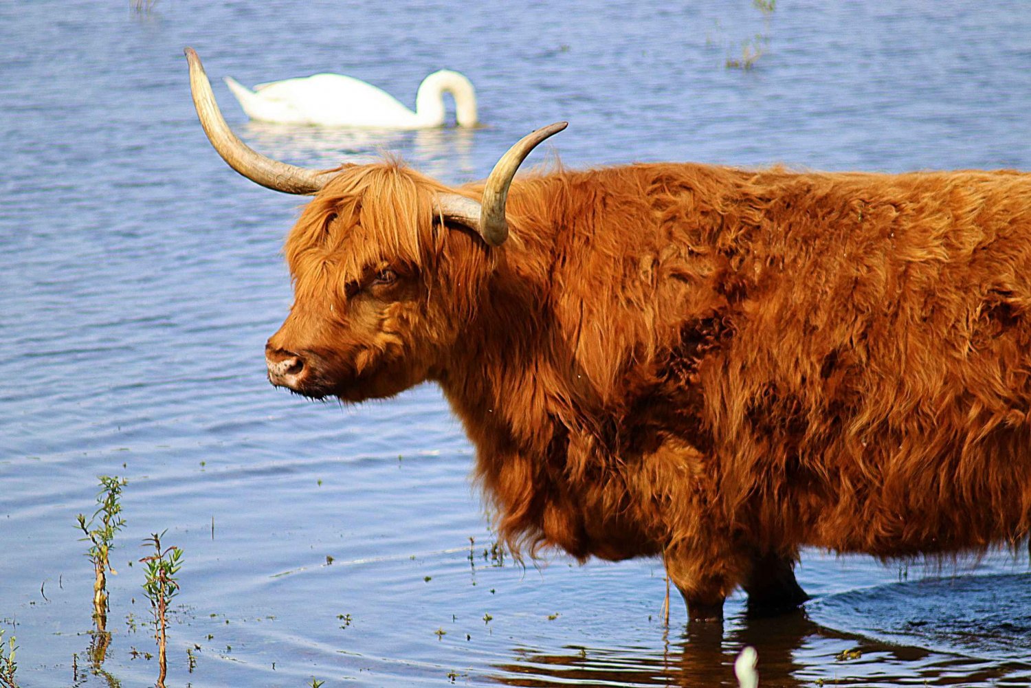 Amsterdam: Hidden Gem Nature & Wildlife Expedition