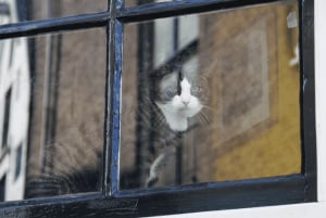 Amsterdam: Skjulte perler og høydepunkter på DE/EN/IT