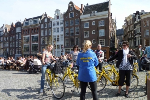 Amsterdam: 3h Bike Tour with break