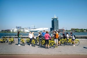 Amsterdam Bike Tour 3h: Highlights & Hidden Gems