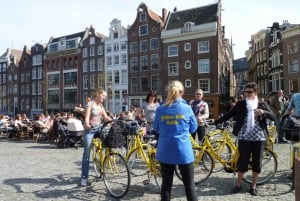 Amsterdam: Highlights & Hidden Gems Bike Tour 3-hour