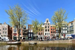 Amsterdam: Highlights & History Walking Tour