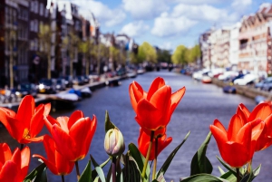 Amsterdam: Highlights Self-Guided Scavenger Hunt & City Tour