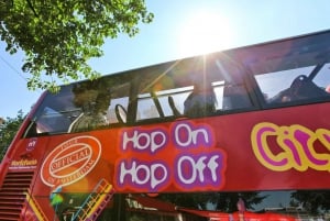 Amsterdam: Hop-On Hop-Off Bus Tour and Optional Canal Cruise