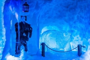 Amsterdam: Icebar Entrance plus 3 Drinks