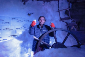 Amsterdam: Icebar Entry Ticket with 3 Drinks