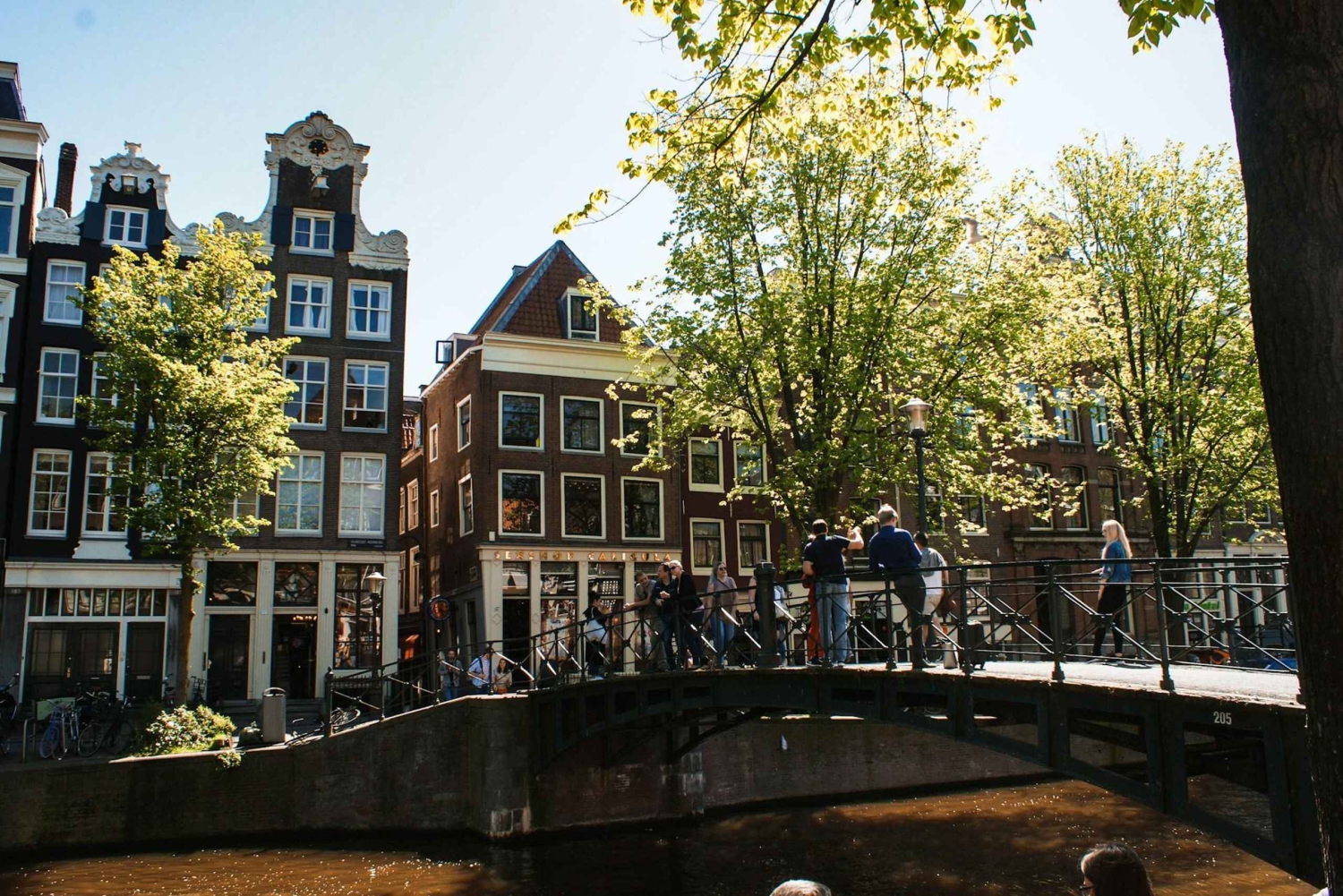 Ámsterdam: recorrido a pie por los canales emblemáticos y los lugares de interés histórico